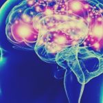 reaccion del cerebro al miedo 2