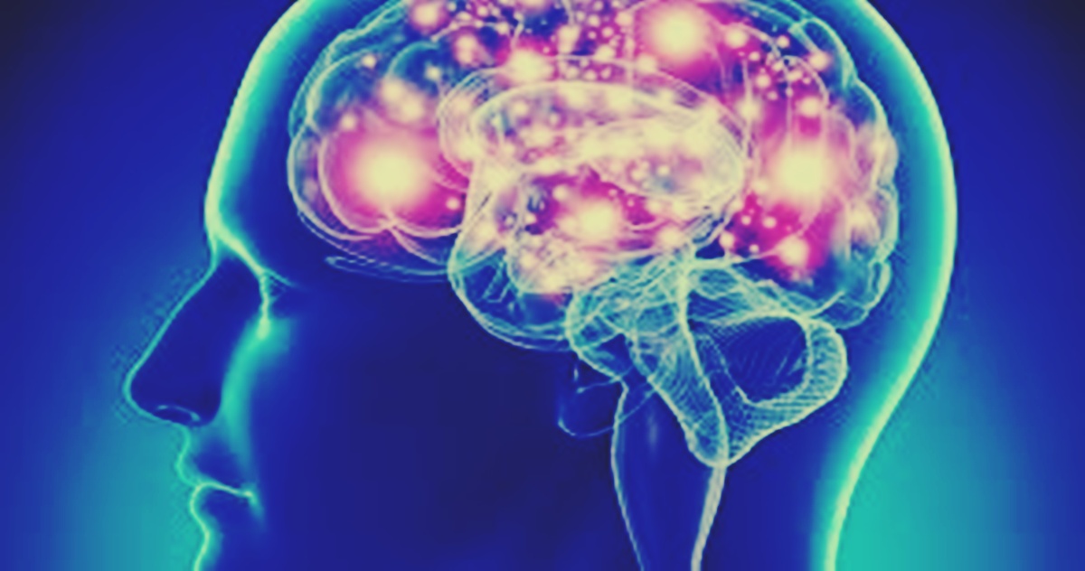 reaccion del cerebro al miedo 2