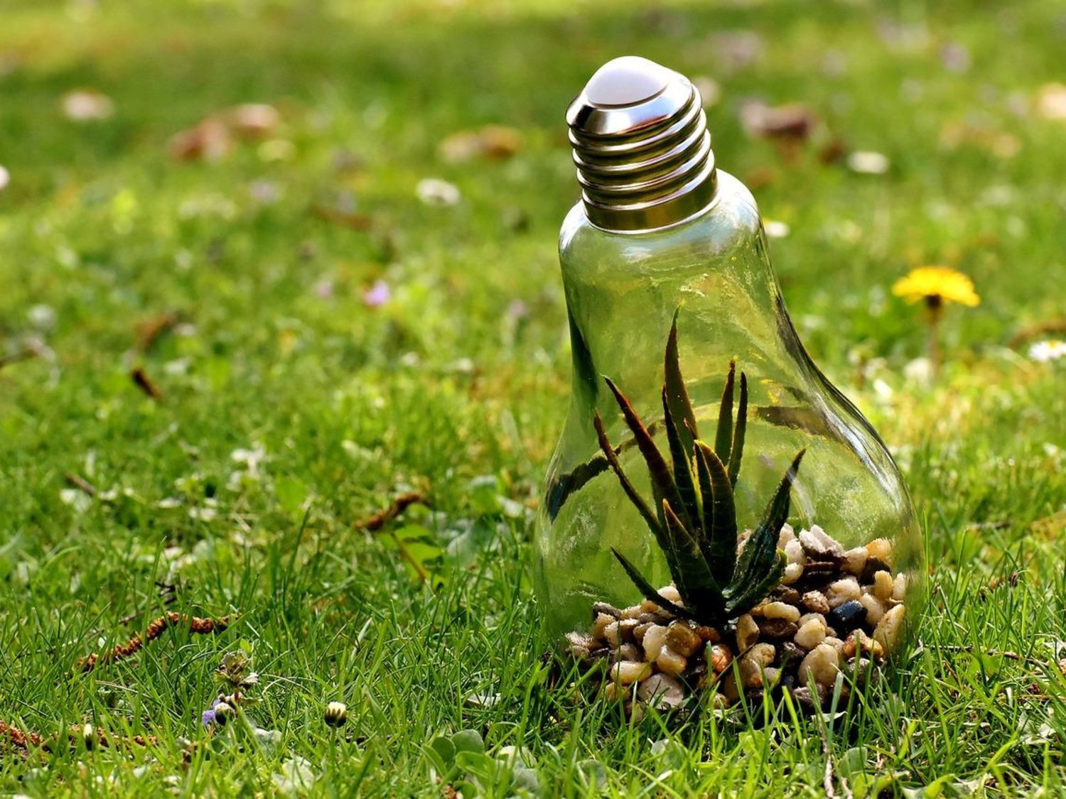 ¿Cuáles son las tecnologías que conservan el ambiente? Agencia Peru